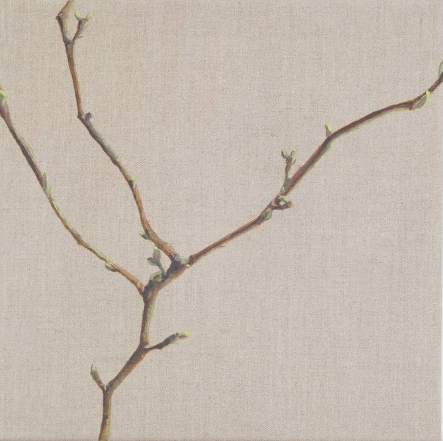 drieluik 'Magnolia' (in de knop), 40x40cm, olieverf op linnen.